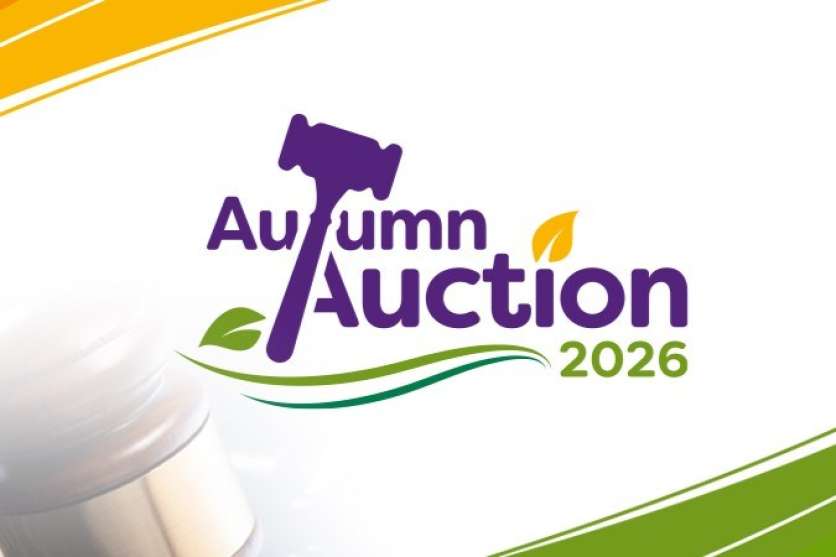 Autumn Auction 2026 image